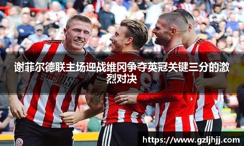 谢菲尔德联主场迎战维冈争夺英冠关键三分的激烈对决